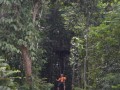 Tn DSC 4319
